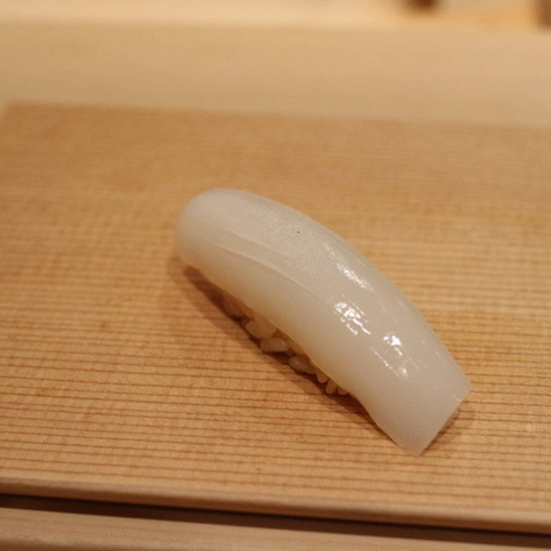 イカの握り(鮨 太一)