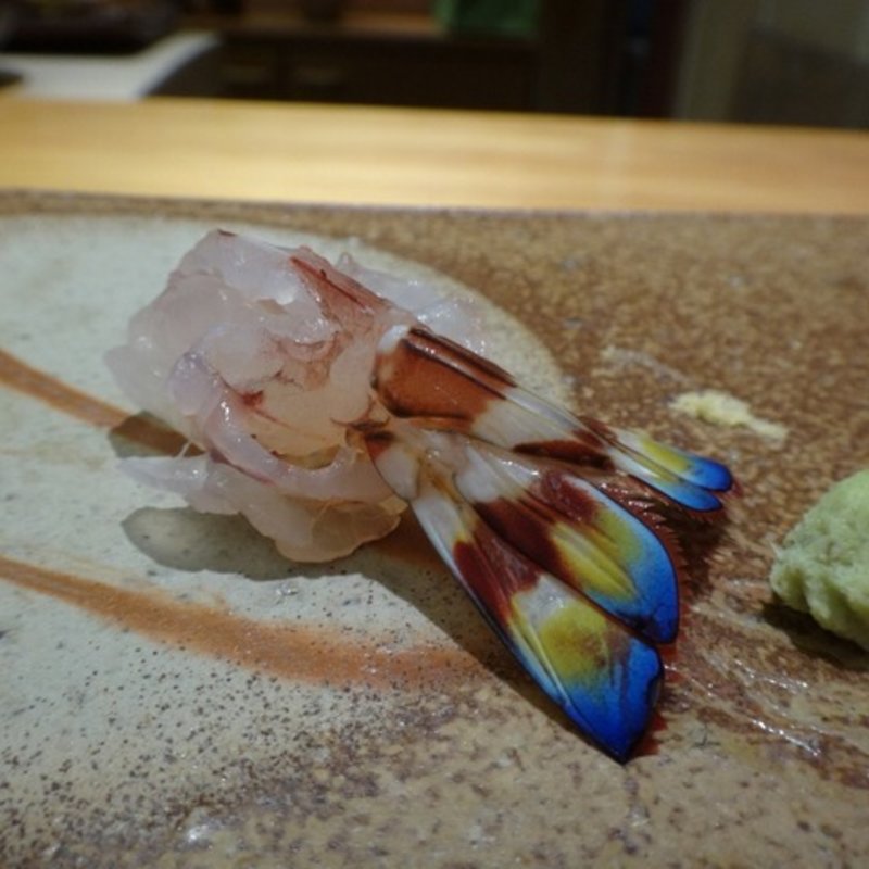 ボタン海老の握り(鮨　銀座　おのでら)