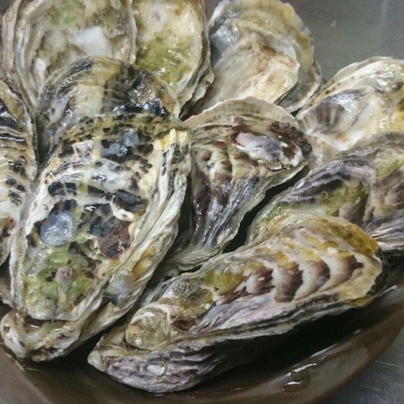 セカウマふわふわ(雫流 （シズル）)