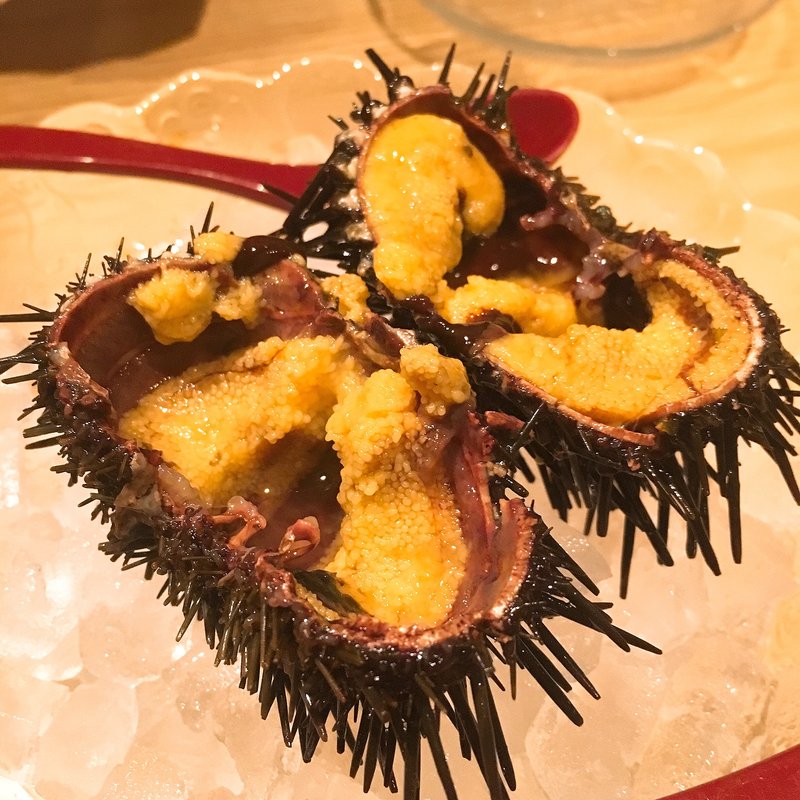 函館直送　殻つきウニ(IKKOKU （イッコク）)