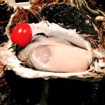 セカウマ岩牡蠣「花美（はなび）」