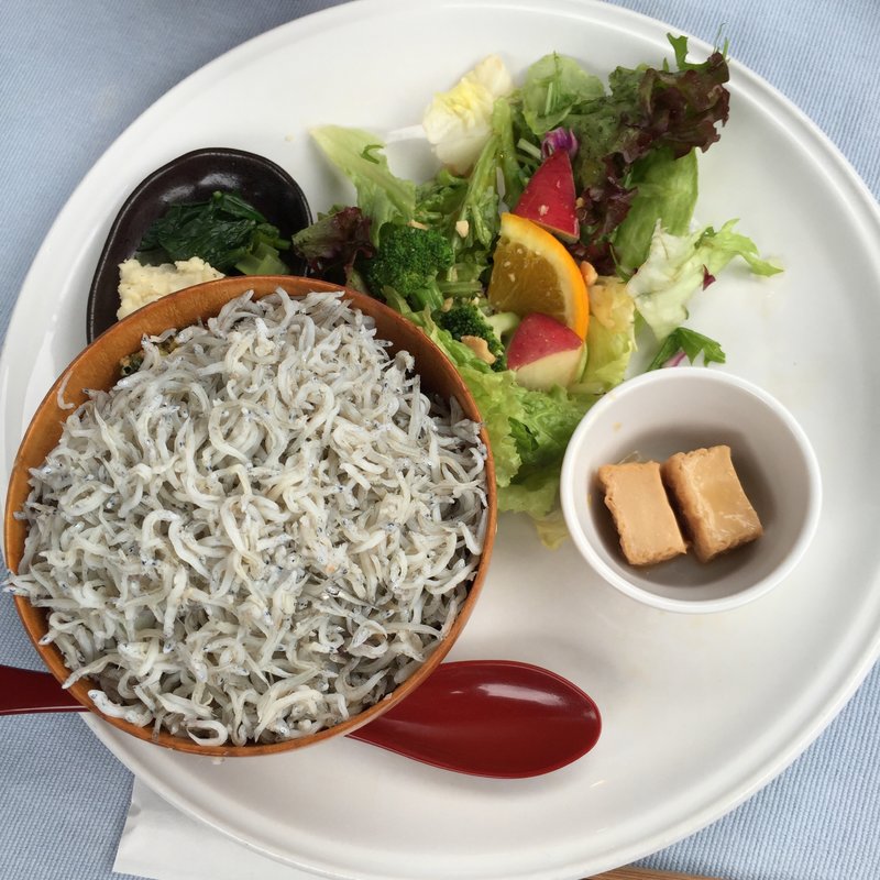 しらすおろし丼プレート(ティー・シゼン （t.shizen）)