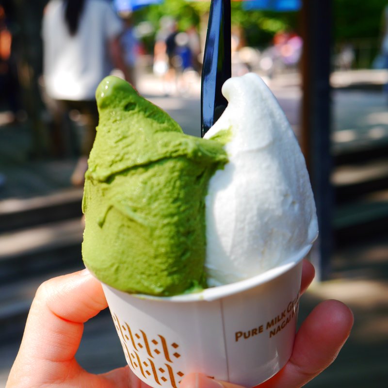 ピァミルクと濃い味抹茶(PURE MILK GELATO NAGAI FARM)