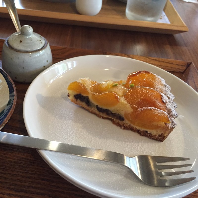 チョコとアプリコットのタルト(パカラ堂)