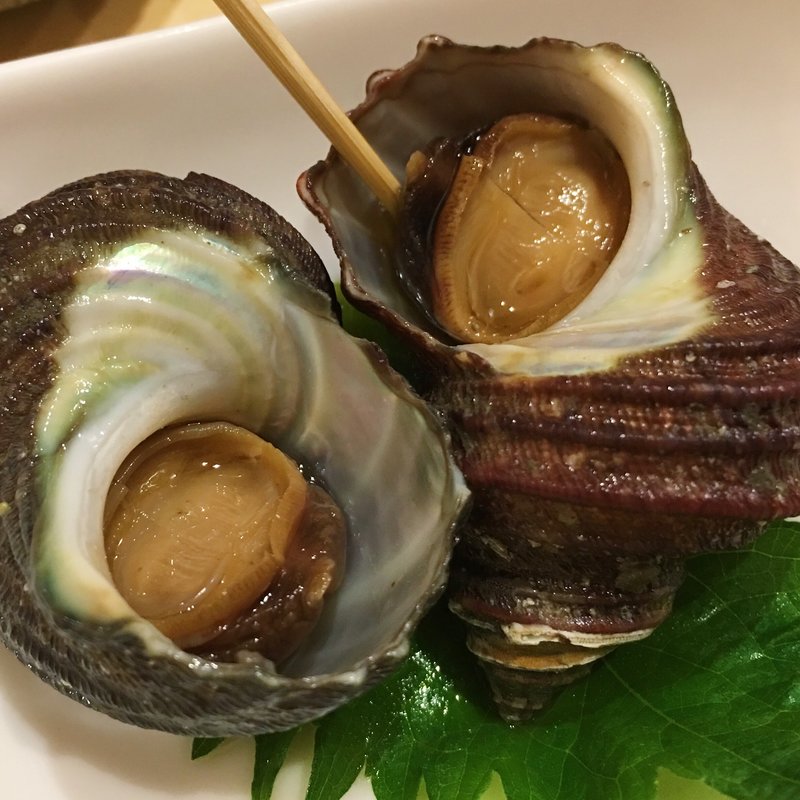 さざえ(酒菜処 きっすい )