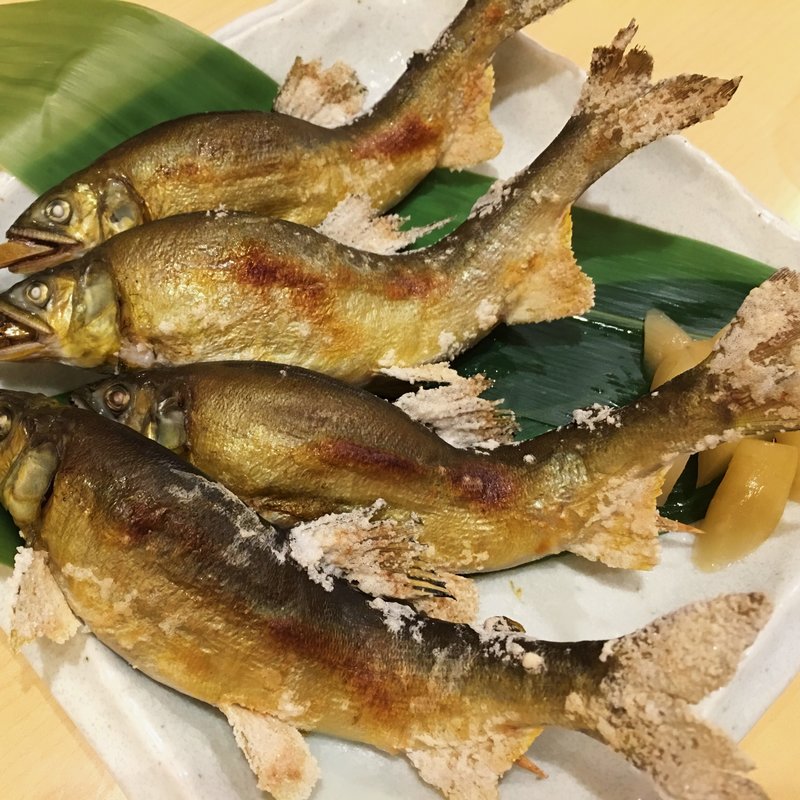 鮎(酒菜処 きっすい )