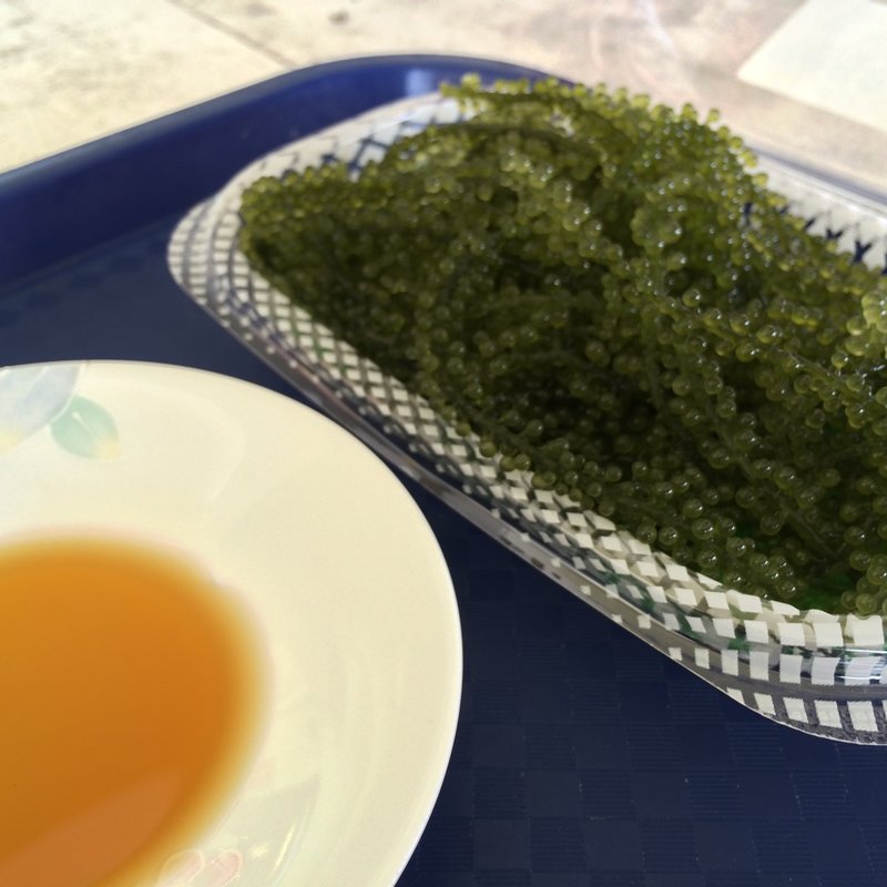 朝どれ海ぶどう(あやはし （海の駅あやはし館）)