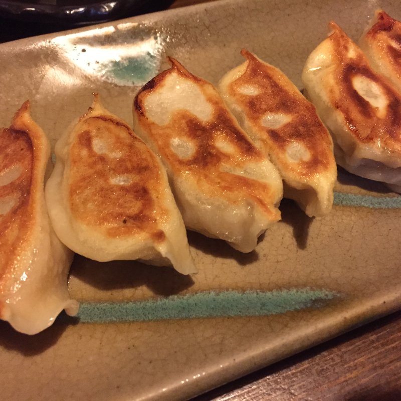 薬膳焼き餃子(和の中)