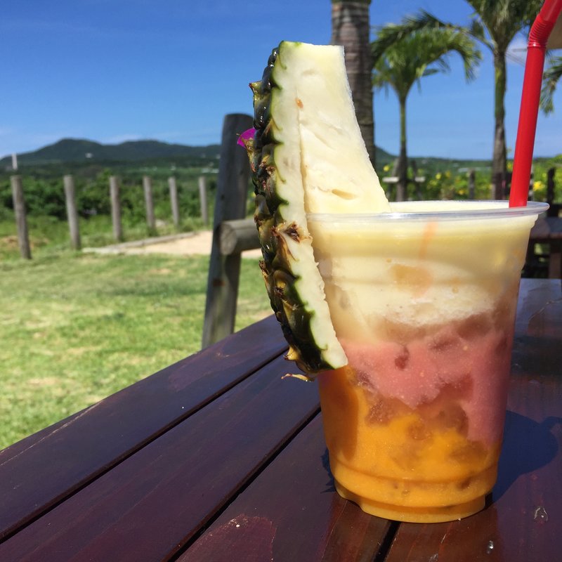 トロピカルミックスジュース(光楽園)