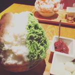 Matcha Green Tea/抹茶(yelo)
