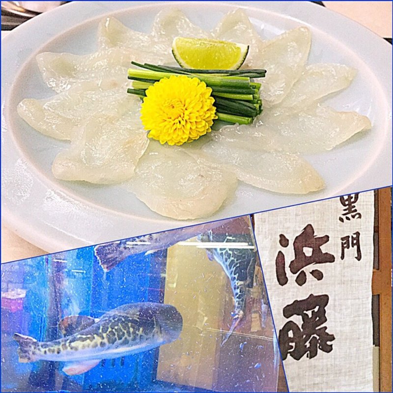 活ふぐ刺(黒門 浜藤 黒門店 （くろもん はまとう）)