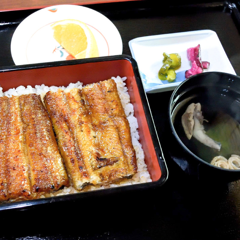 うなぎ丼(いぬぶし )