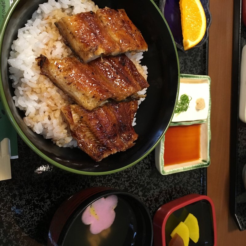 竹うなぎ丼(うなぎの初音 （はつね）)