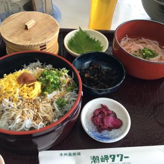 紀州しらす丼(潮岬観光タワーレストラン)