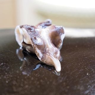 ホッキ貝のお造り(日本橋 蛎殻町 すぎた)