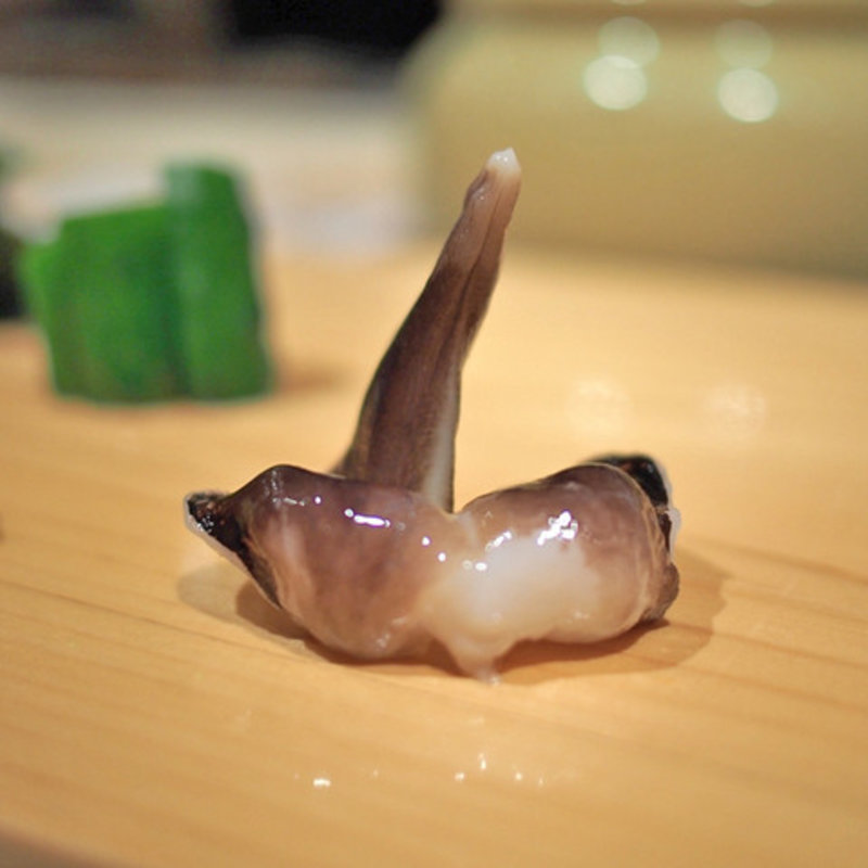 ホッキ貝のお造り(鮨 尚充(たかみつ))