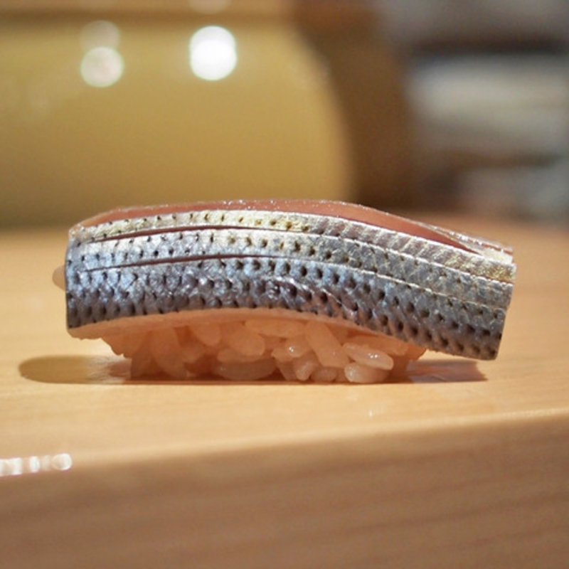 アジの握り(鮨 尚充(たかみつ))