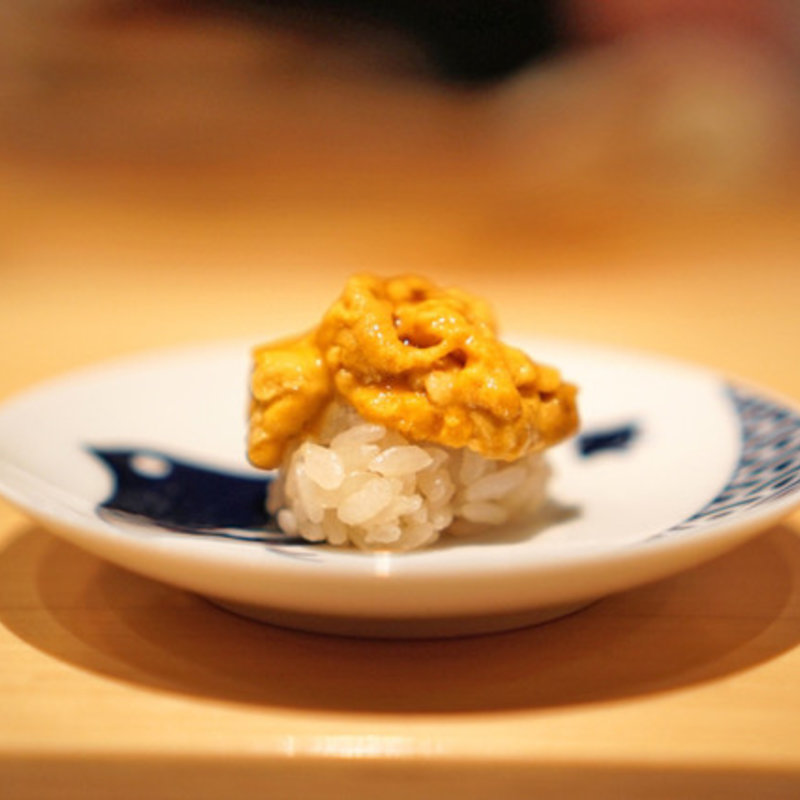 うにの握り(鮨 尚充(たかみつ))