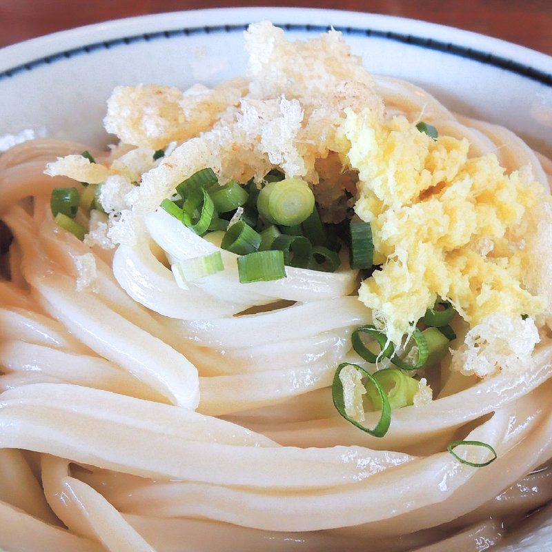 ぶっかけ冷(上野製麺所 )