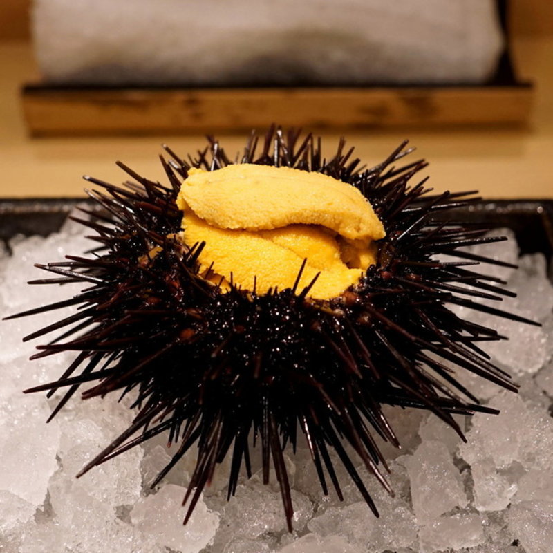 赤雲丹の雲丹飯 (東麻布 天本)