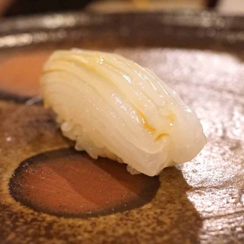イカの握り(東麻布 天本)