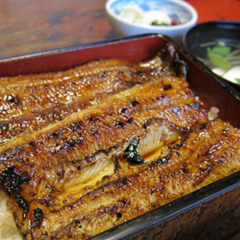 うな重（上）(明神下 神田川 本店)