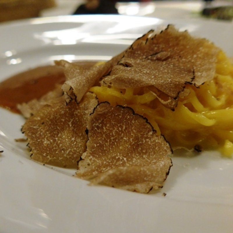 タリオリーニ豚のラグーソース サマートリフを添え(AMBiGRAM)