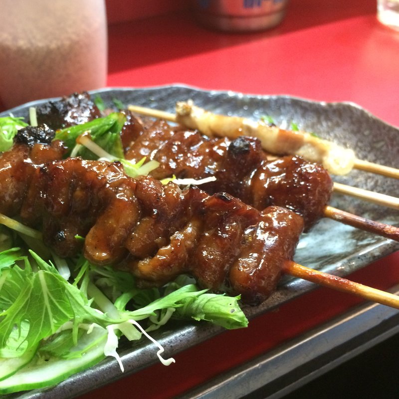 鳥皮(こがちゃん)