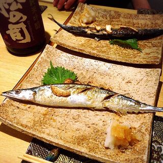 秋刀魚(いなにわ 堂島店 )