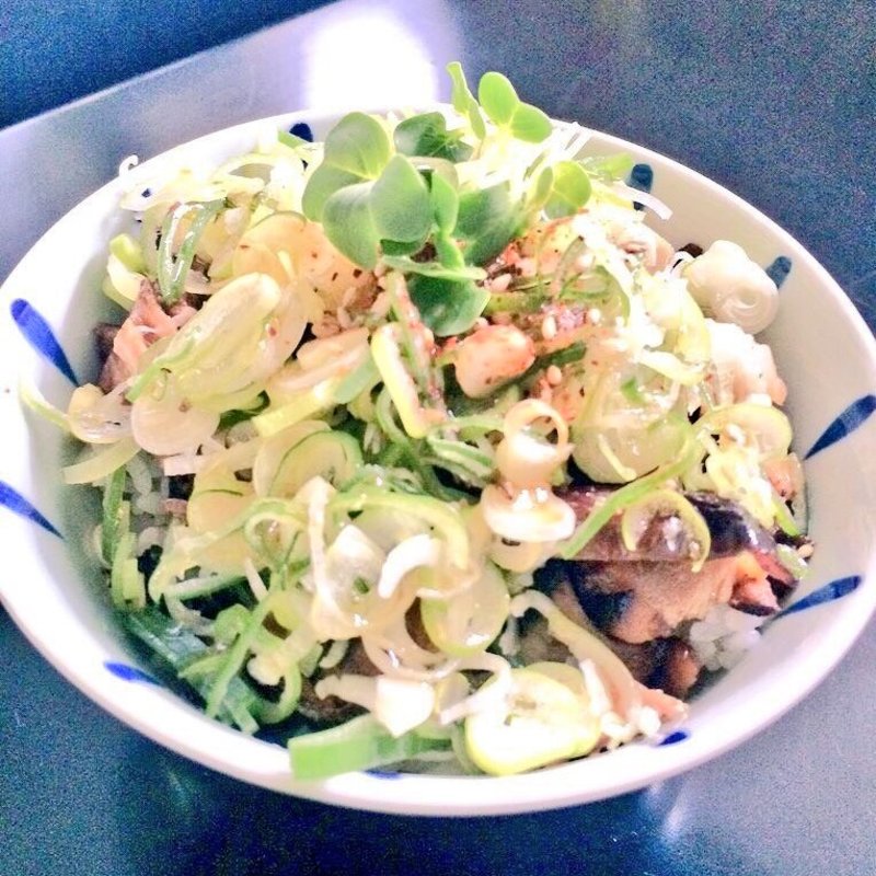 チャーネギ丼(つけめん番長 銀)