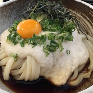 月見とろろぶっかけ(讃岐うどん 白庵 （BYAKUAN びゃくあん）)