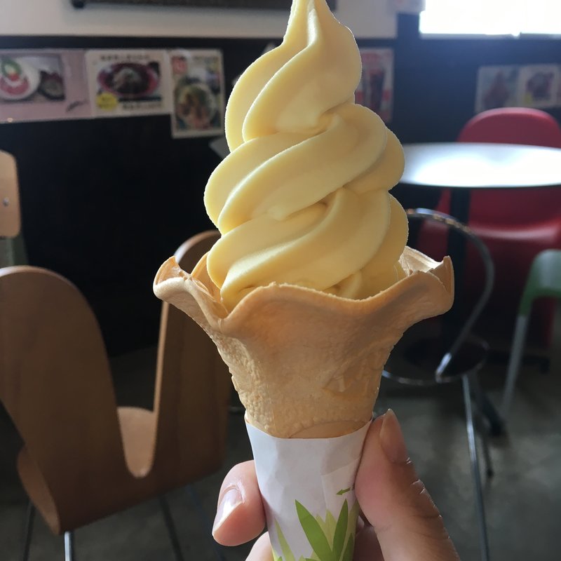 オレンジソフト(津久見　イルカ島)