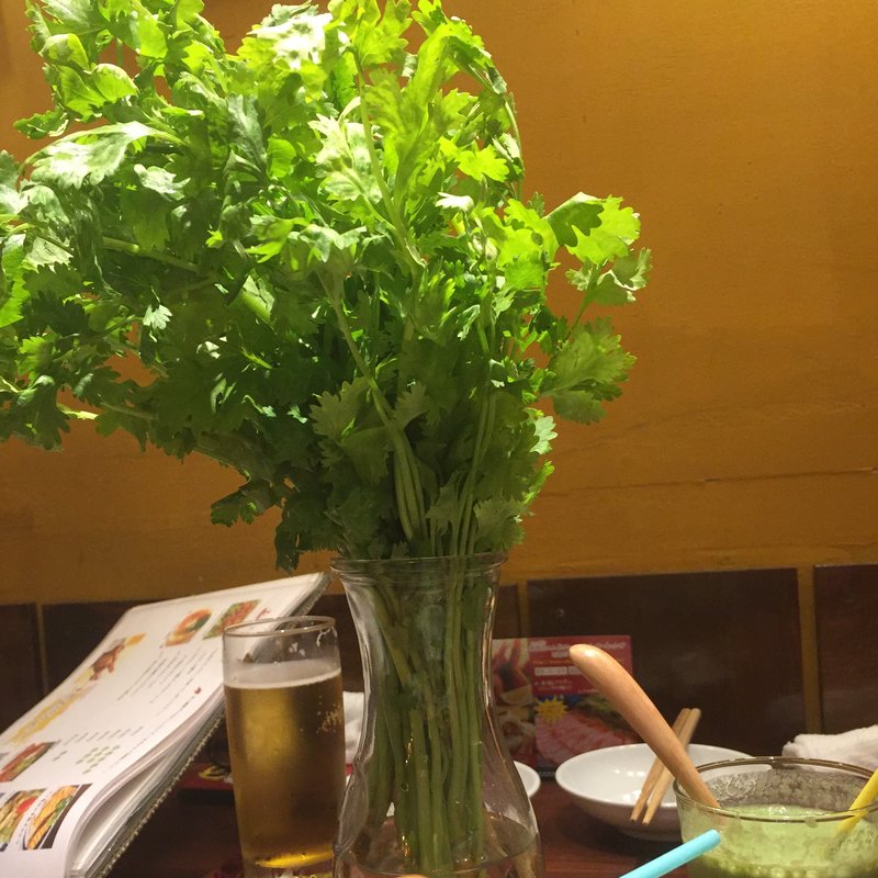 ロケットパクチー(亜細亜的バル Xinchao （シンチャオ）)