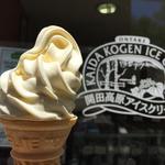 ソフトクリーム とうもろこし(開田高原アイスクリーム工房 )