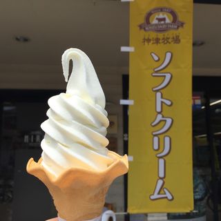神津牧場ソフトクリーム(レストラン ヒロ)