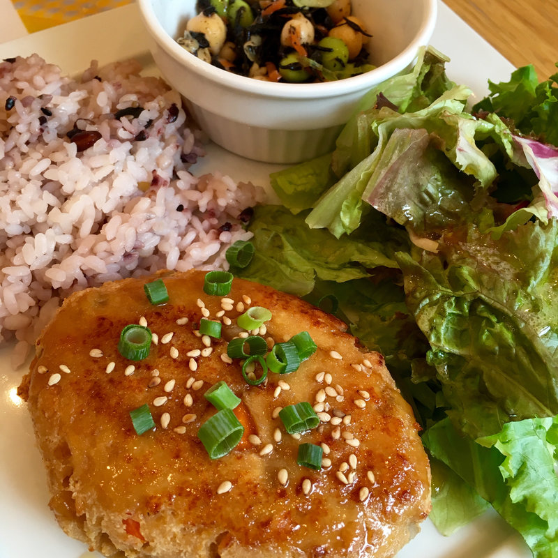 ソイミートハンバーグプレート(NOHARA  by MIZUNO)