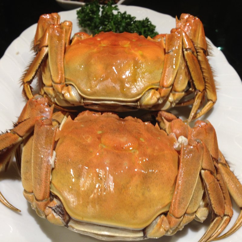 上海蟹(秀恵 （シュウケイ）)