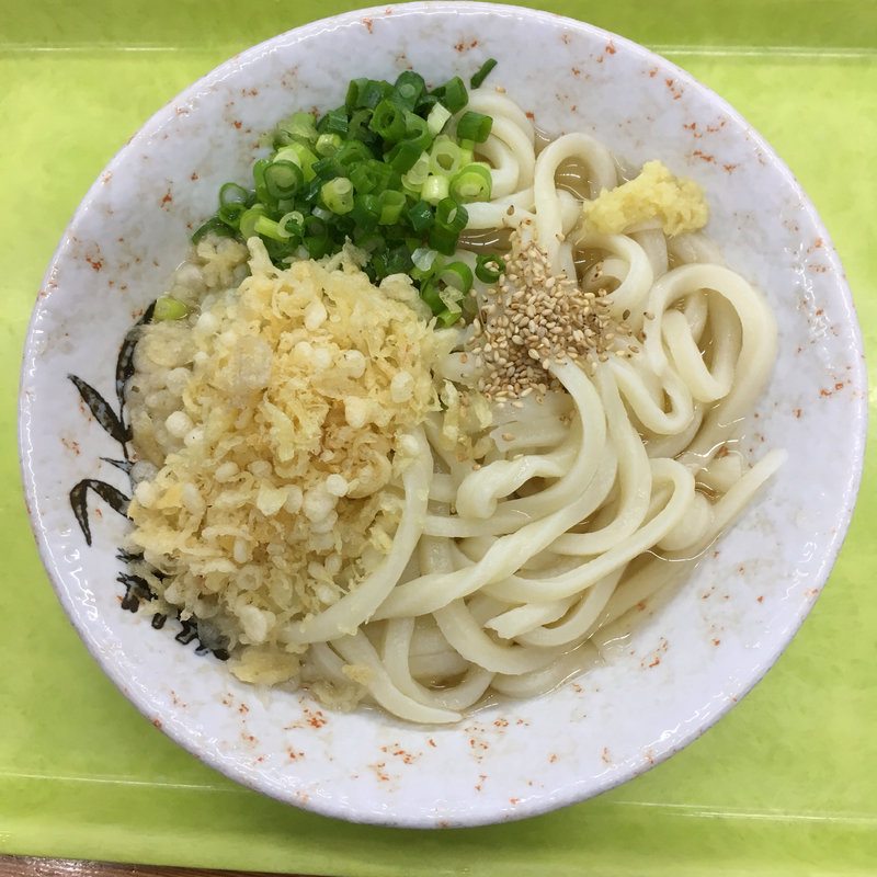 かけうどん（中）(さか枝 （さかえだ）)