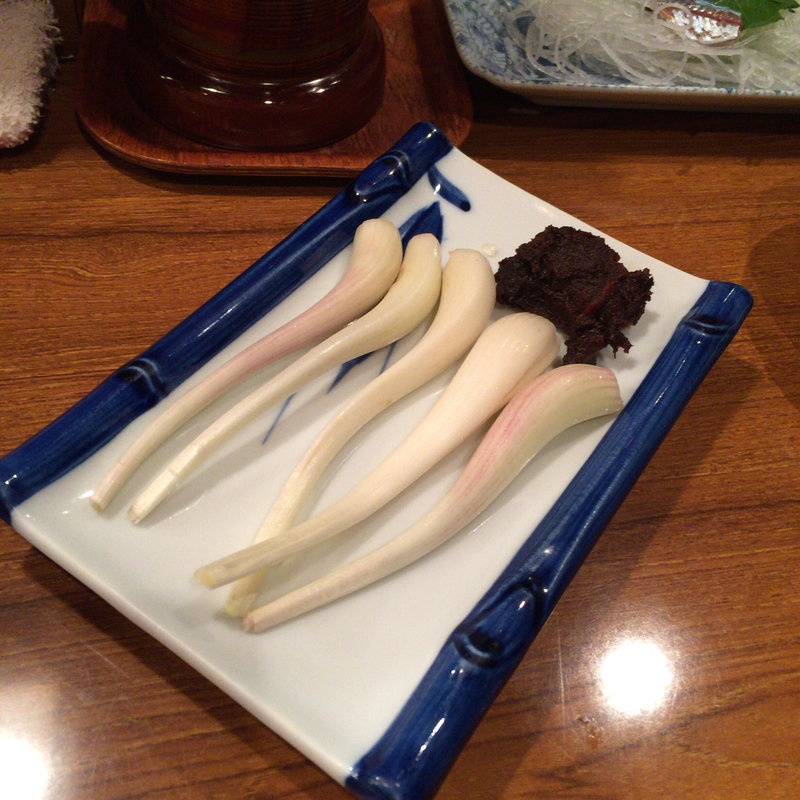 エシャロット(釣り仲間 （つりなかま）)