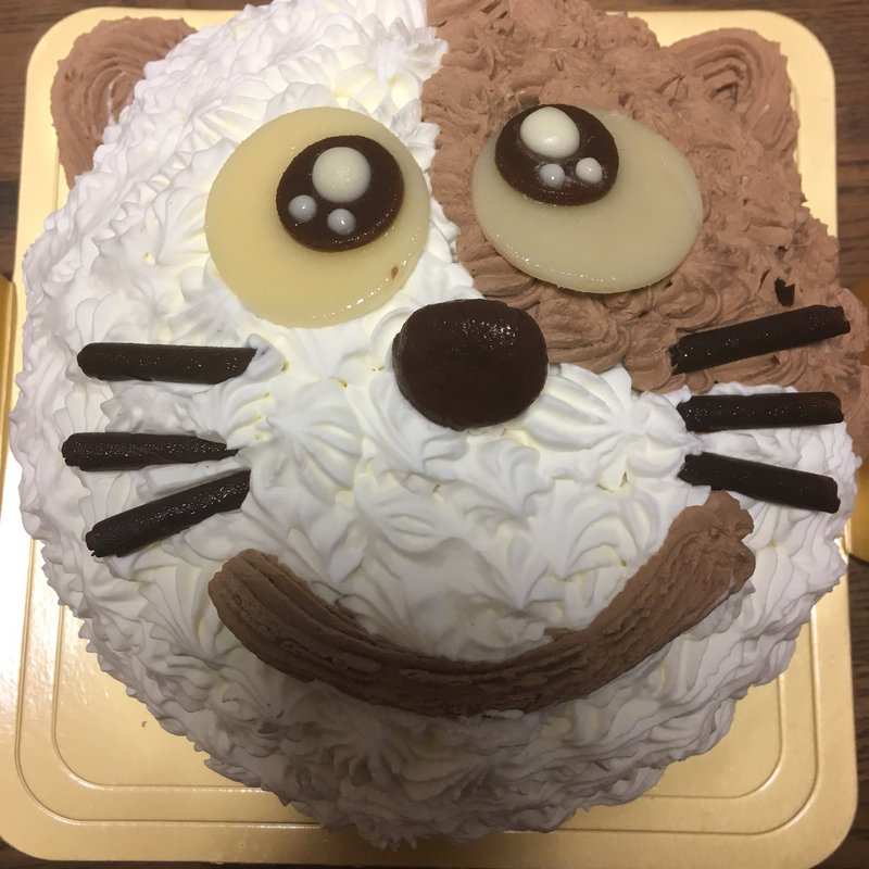 ねこちゃんバースデーケーキ(誕生日ケーキの幸せ工房)