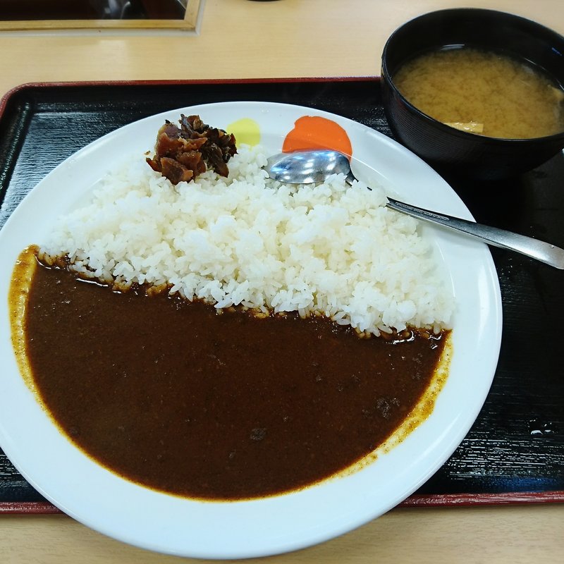 オリジナルカレー 並(松屋 二又瀬店 )