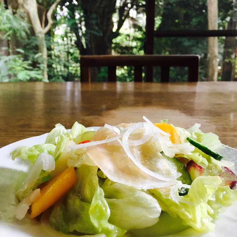 フルーツサラダ(マリの家 )