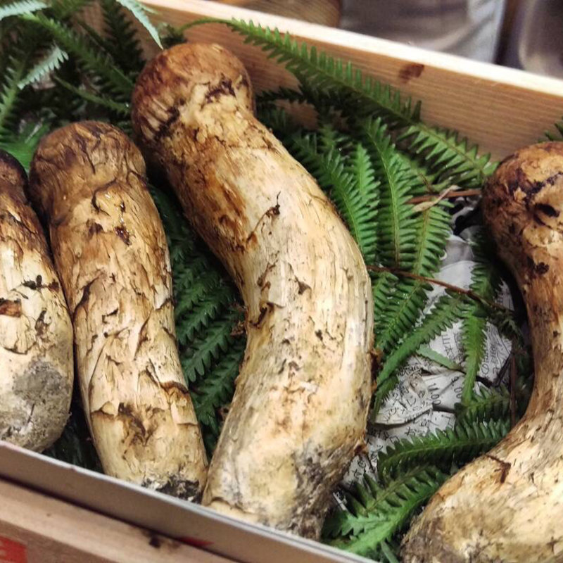 松茸(神保町 傳 （伝 でん）)