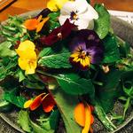 季節野菜のサラダ(Me's cafe 東急プラザ銀座)