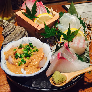 本日の刺身盛り(豊後屋 竹かんむり)
