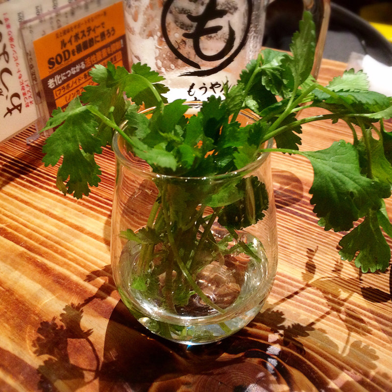パクチー(もうやんカレー Tokyo 京橋店)
