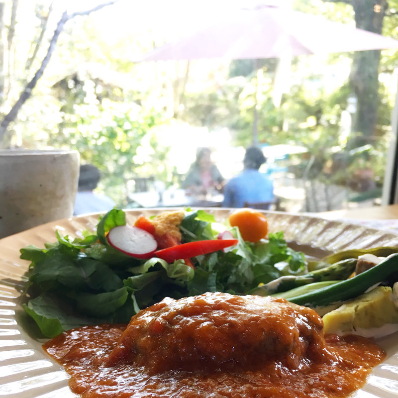 Mamaの気まぐれランチ(プルーンの木 )