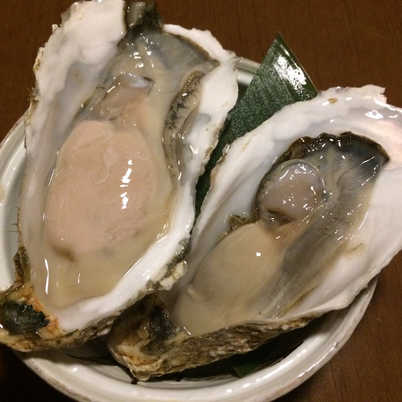 お得盛り6ヶ(石狩川 （いしかりがわ）)