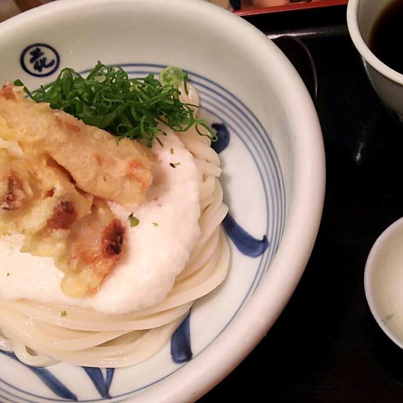 ちく玉山芋とろろうどん(うどん割烹 花きり （はなきり）)