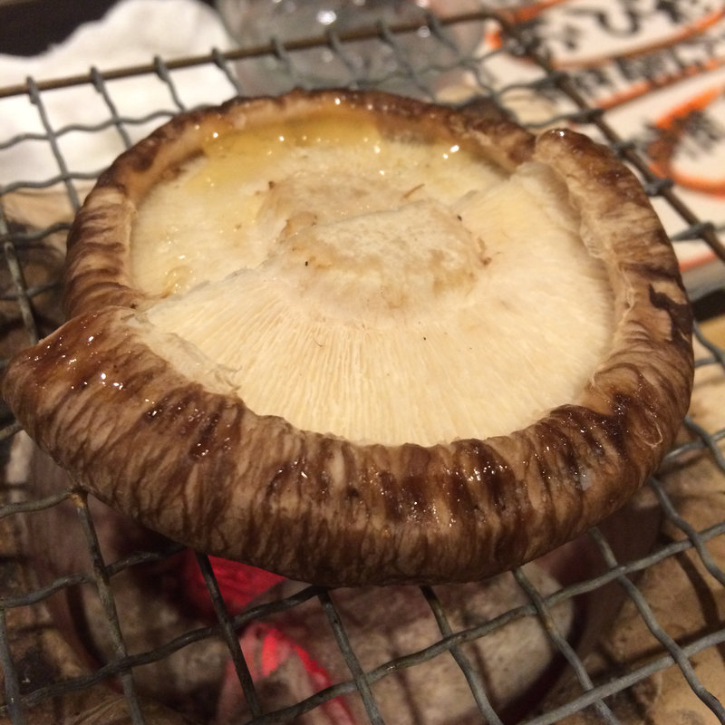 どんこ椎茸炭火焼(ひしゅうや)